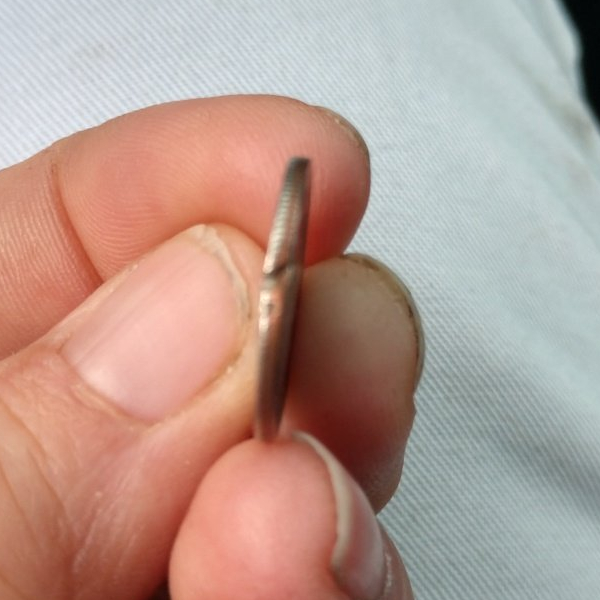 1982-Dime-Mink-Mark/Error?